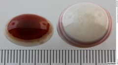 Foto von Quarz (Chalcedon, Achat, Sardonyx) (NHMW-MIN-Ab5900)